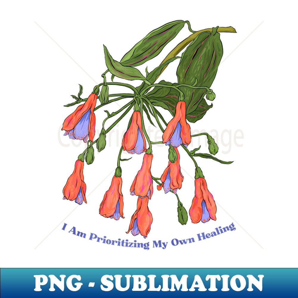 TT-20231101-11440_I Am Prioritizing My Own Healing 9276.jpg