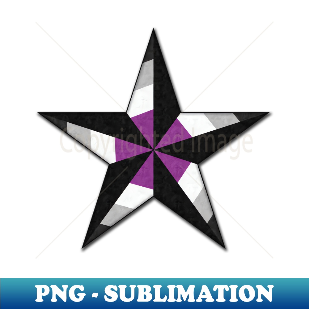 TT-20231101-1348_Asexual Pride Flag Colored Nautical Star 4501.jpg