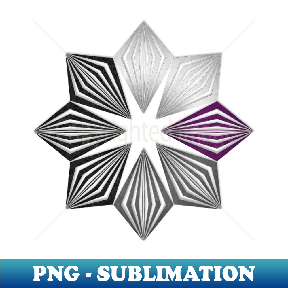 TV-20231101-5953_Demisexual Pride Flag Colored Geometric Starburst 6702.jpg