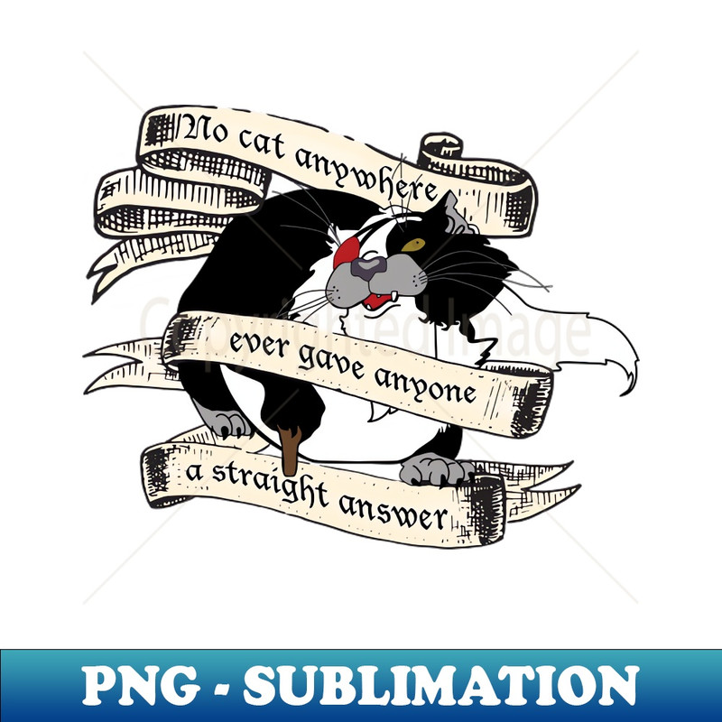 TX-20231101-18878_Pirate Cat The Last Unicorn 1462.jpg