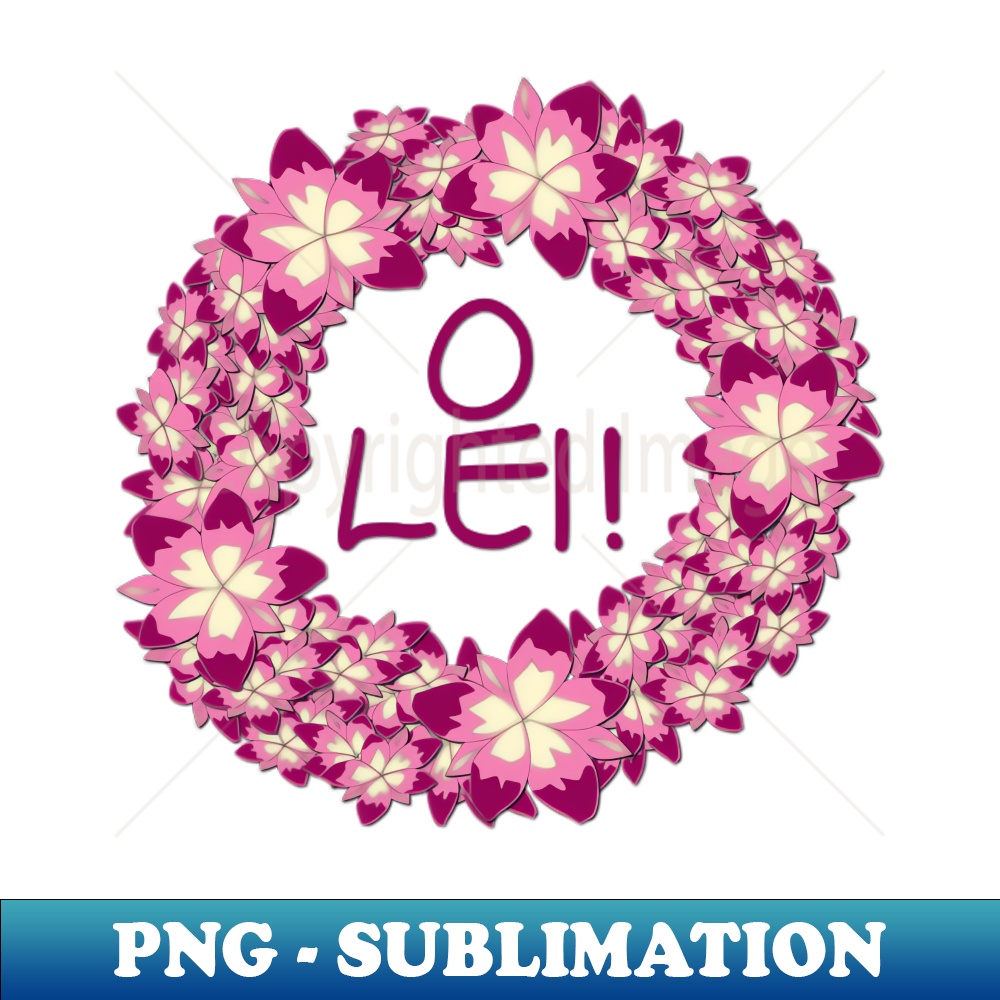 UA-20231101-17805_O Lei 2049.jpg