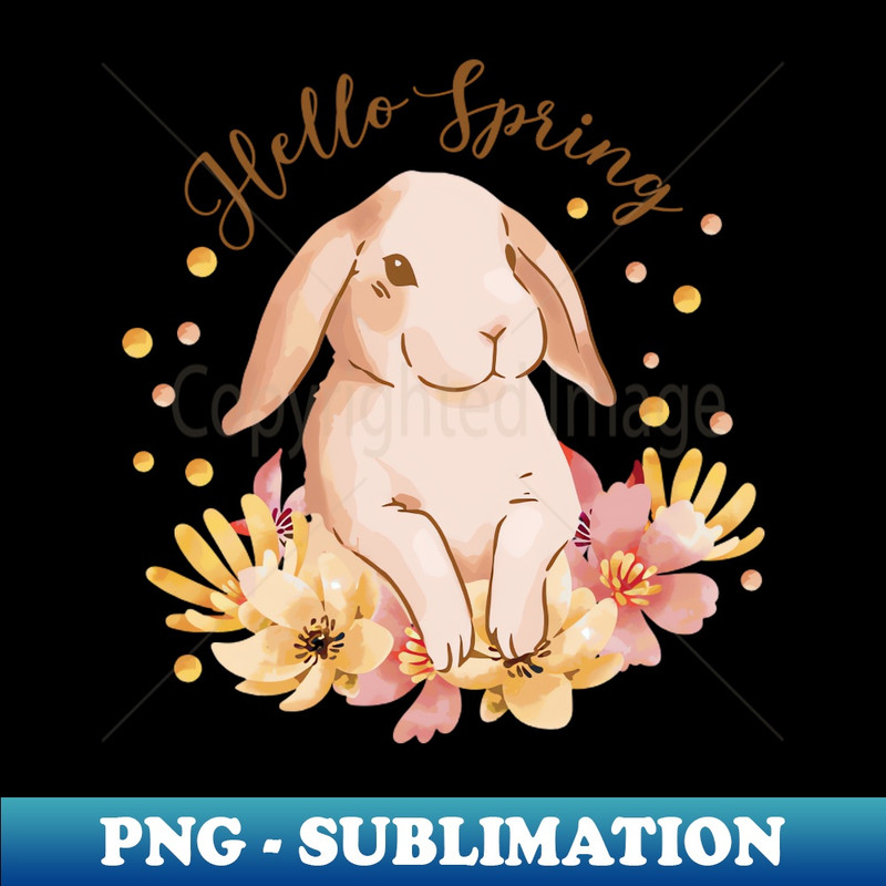 UE-20231101-10836_Hello Spring 2010.jpg