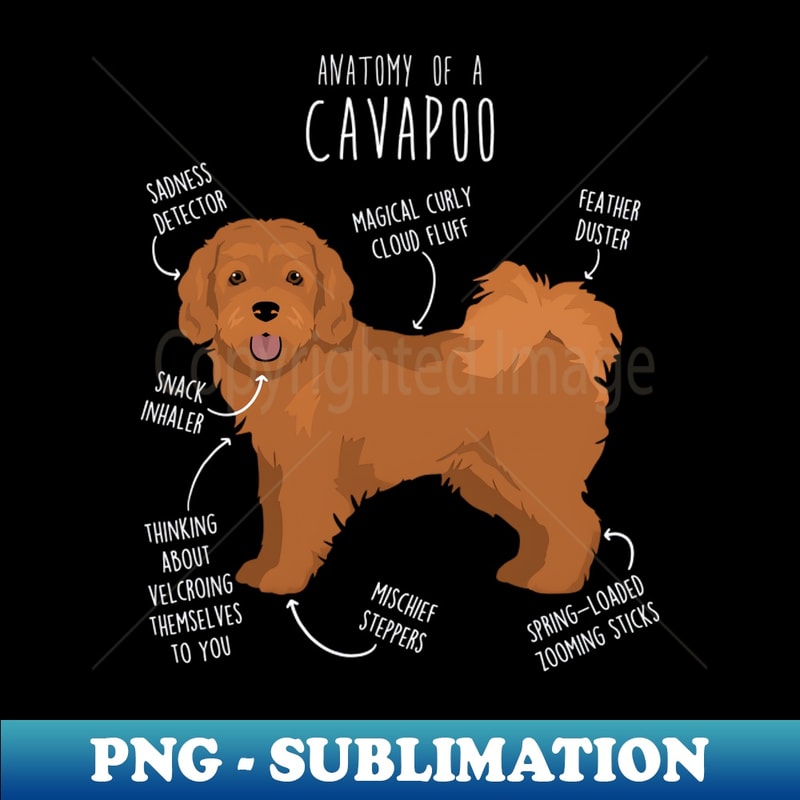 Cavapoo Dog Anatomy - Artistic Sublimation Digital File - Un | Inspire ...