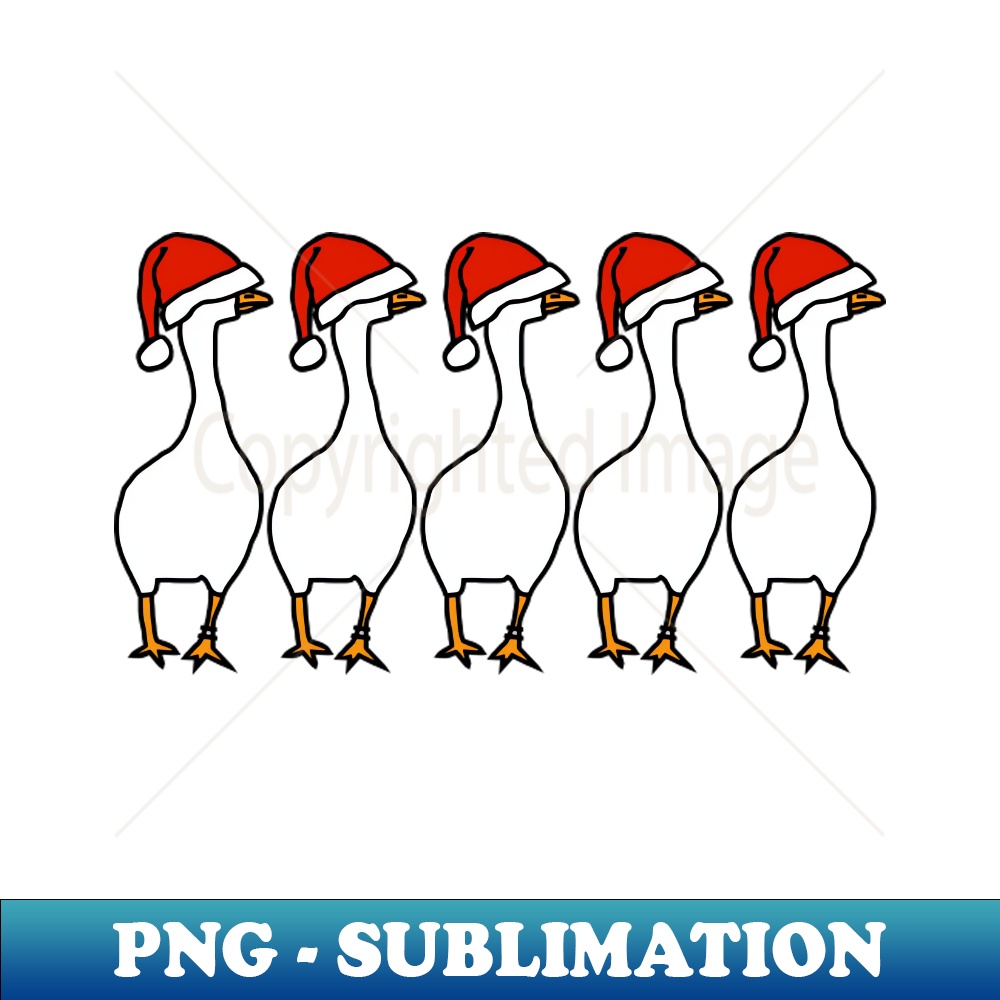 VH-20231101-7996_Five Gaming Goose Christmas Santa Hat 9978.jpg