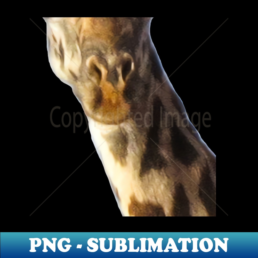 VM-20231101-9541_Giraffe Mouth Animal Face 8631.jpg