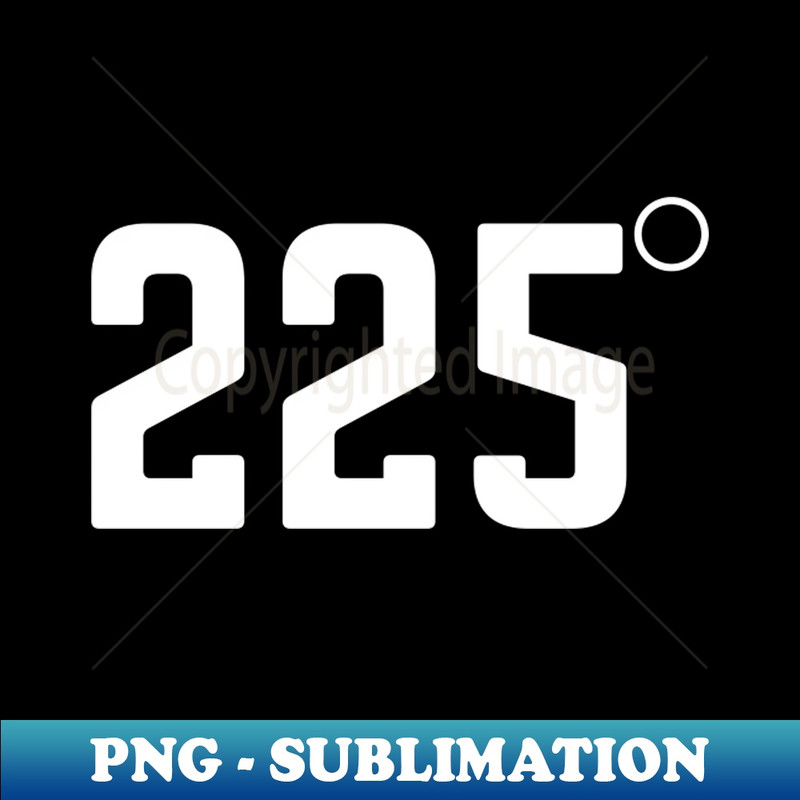 VP-20231101-132_225 Degrees BBQ Grilling Smoking Meat 4983.jpg