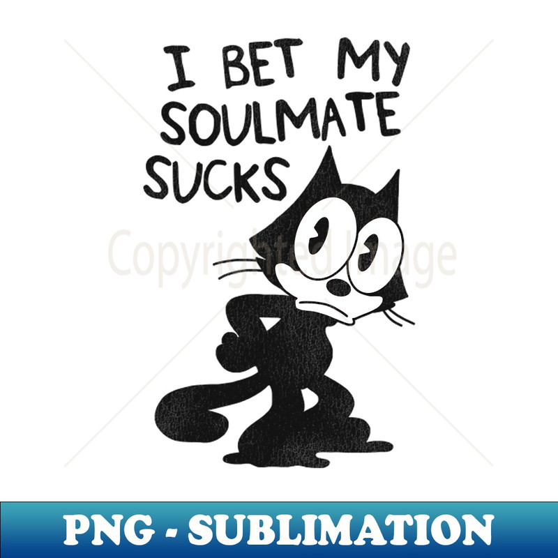 VQ-20231101-7782_Felix the Cat  I Bet My Soulmate Sucks 4177.jpg