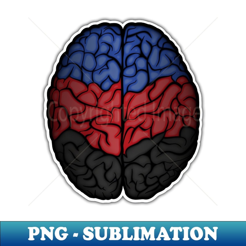 VS-20231101-14395_Large Polyamory Pride Flag Colored Brain Vector 4019.jpg