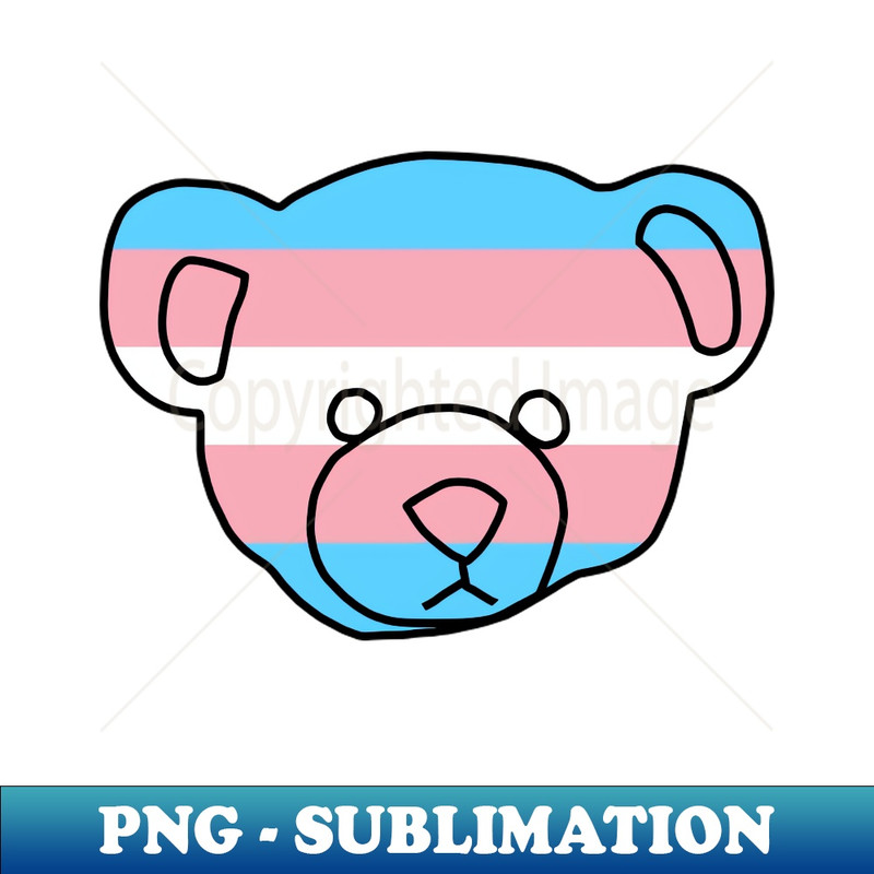 WB-20231101-25302_Transgender Pride Flag Bear 9563.jpg