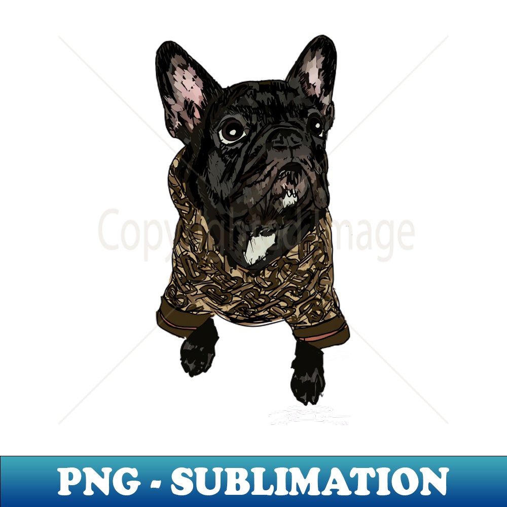 WB-20231101-8340_Frenchie Fashion Forward 2933.jpg