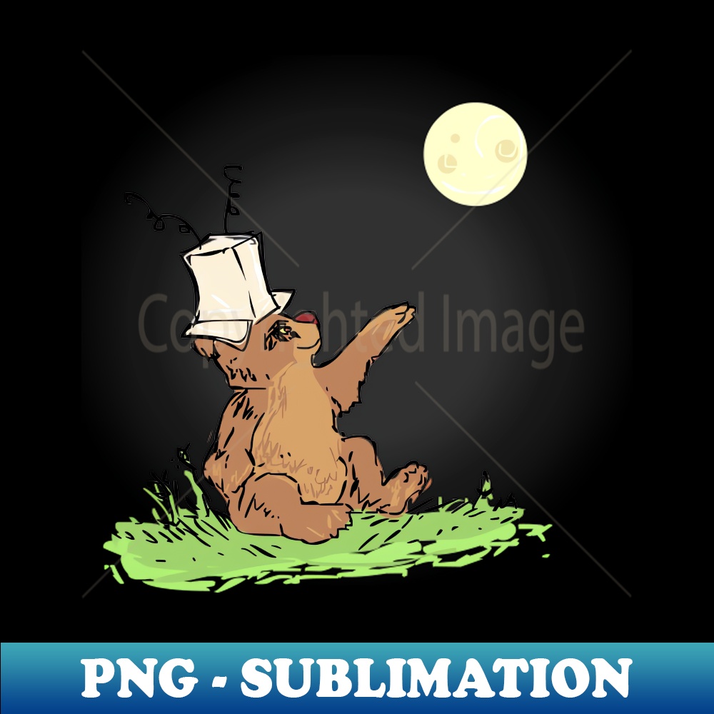 WC-20231101-15027_Little Bear Goes to the Moon 8388.jpg