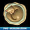 WE-20231101-22237_Sleeping Ball 9696.jpg