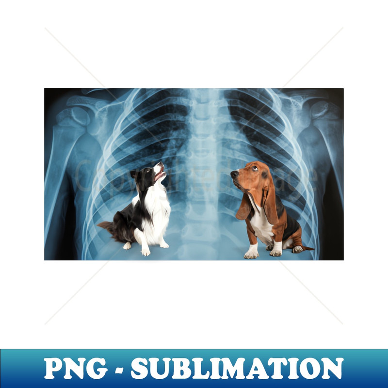 XE-20231101-9917_Got That Dog In Him Xray 9974.jpg