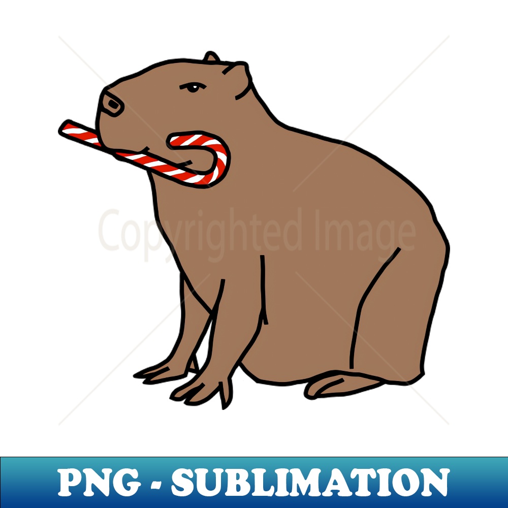 XW-20231101-5281_Cute Christmas Capybara with Candy Cane 6500.jpg