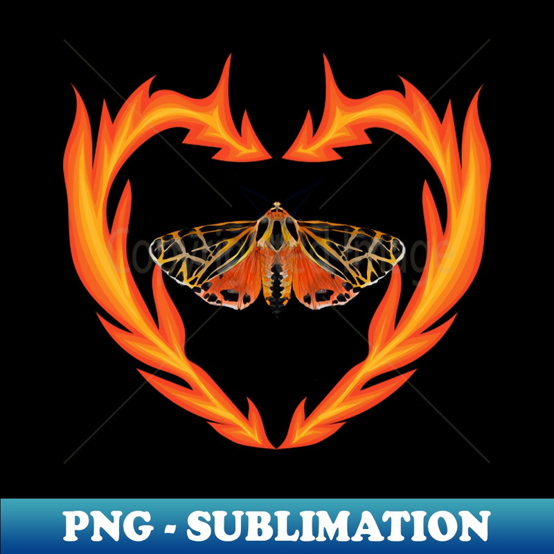 YB-20231101-14950_Like Moths To Flames 7343.jpg