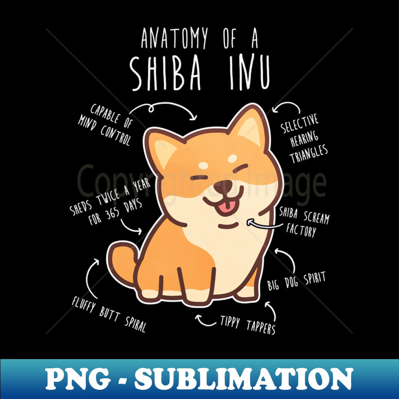ZD-20231101-21923_Shiba Inu Dog Anatomy 6841.jpg