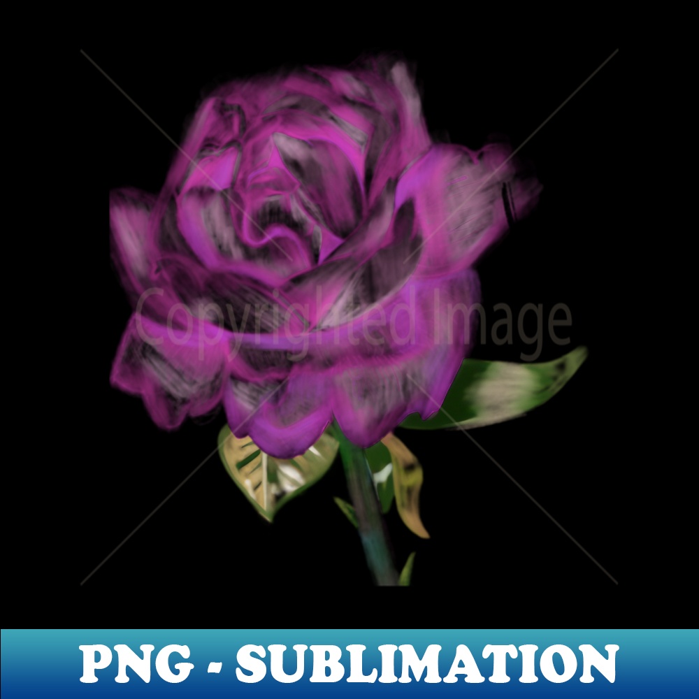 ZE-20231101-19804_Purple Pink Rose Sketch 9611.jpg