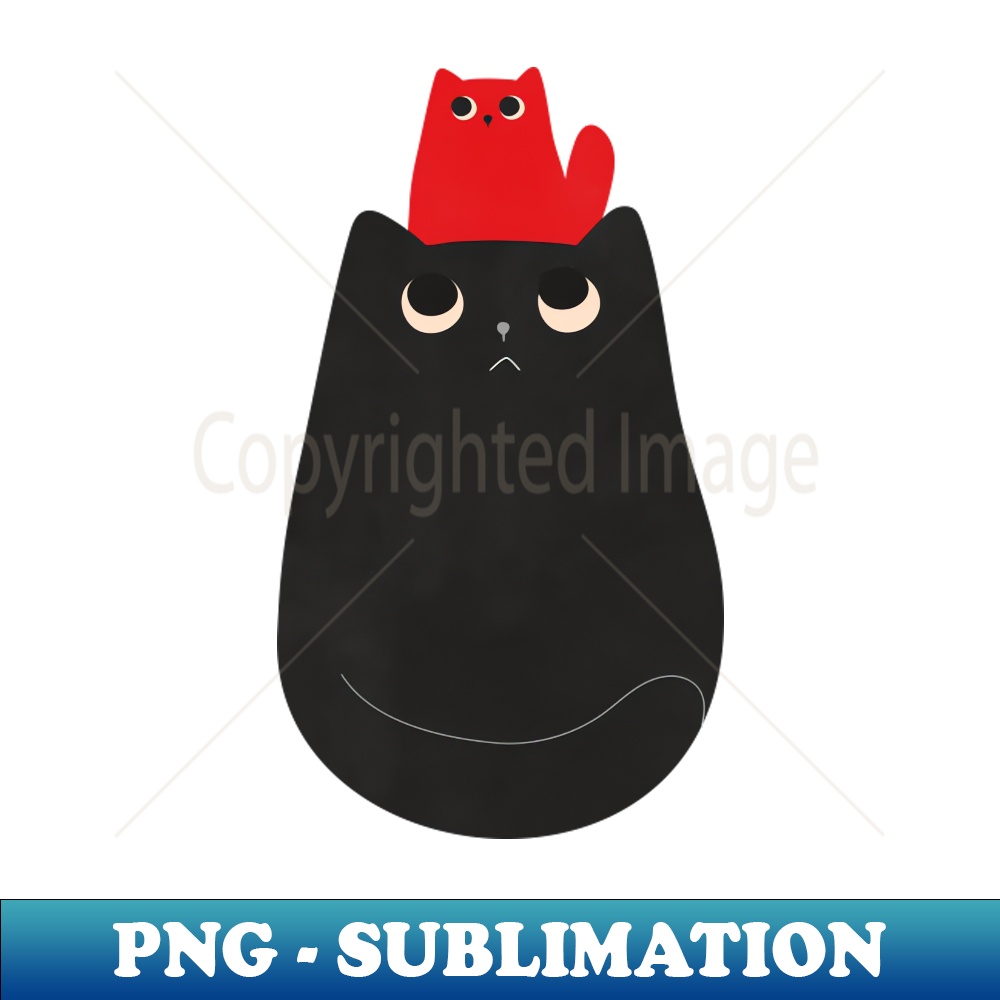 ZO-20231101-25596_Two cats 2384.jpg