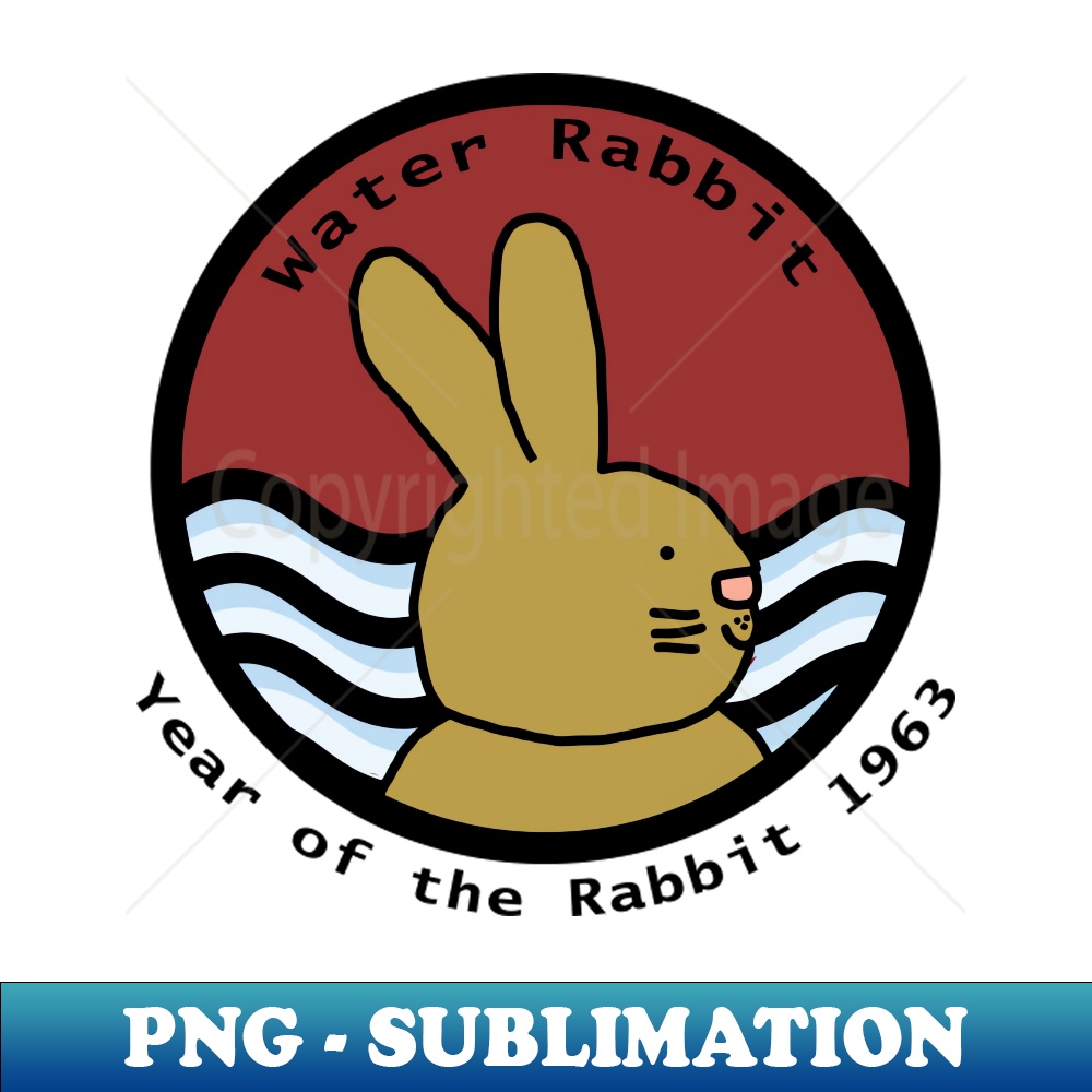 ZO-20231101-5532_Cute Year of the Rabbit 1963 Water 60th Birthday 2714.jpg