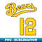 ZS-20231101-23712_Tanner Boyle Vintage Bad News Bears Jersey FrontBack Print 2601.jpg