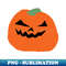ZV-20231101-10399_Halloween Pumpkin 8867.jpg