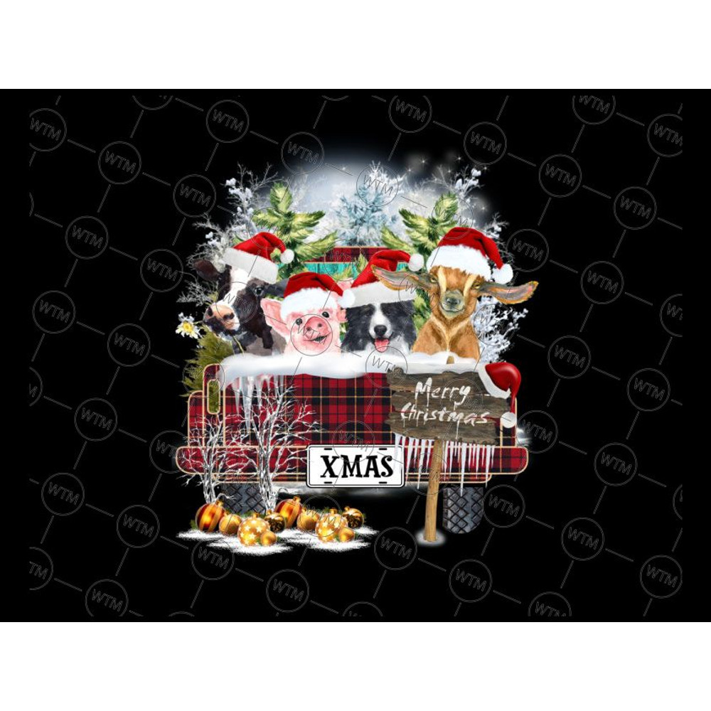 UNICORN WTM_CV_XAM59.jpg