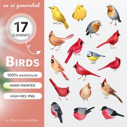 birds watercolor clipart