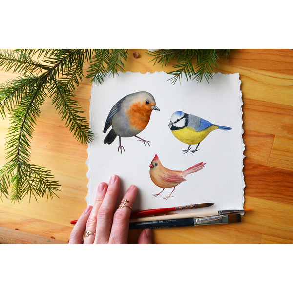 birds -hand -painted.jpg