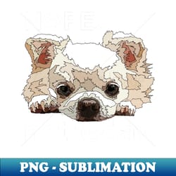 nope not today white chihuahua dog - elegant sublimation png download - create with confidence