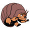popStore_raya_image37.png
