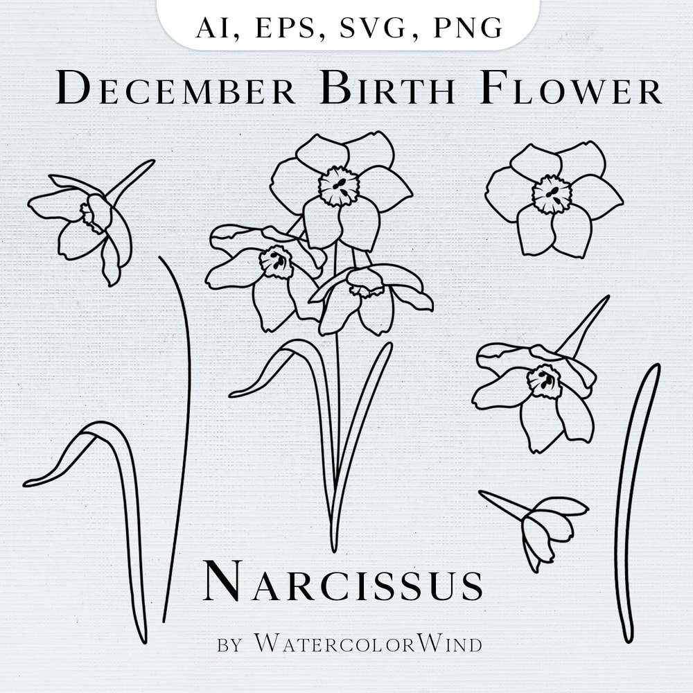 Presentation NarcissusМонтажная область 1.jpg