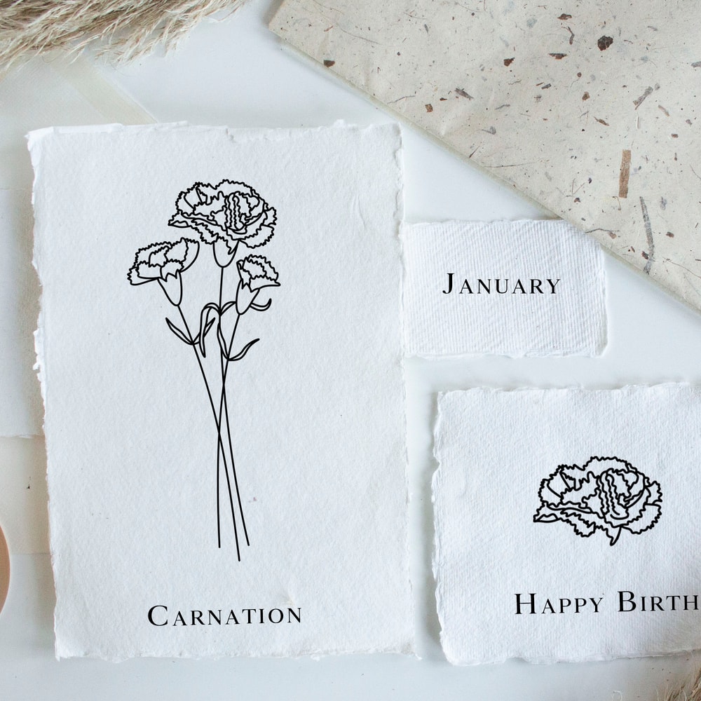 Presentation CarnationМонтажная область 4.jpg