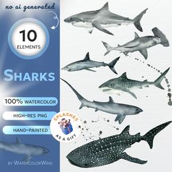 sharks watercolor clipart, great white shark, whale shark, mako shark illustrations