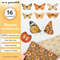 Orange-butterflies-cover-IU.jpg