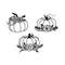 MR-cutoutcrafts-2002031-311202322022.jpeg