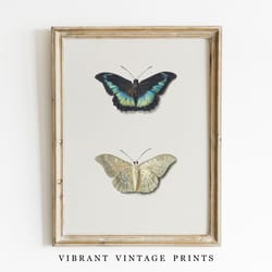 butterfly wall art vintage wall art butterflies print soft neutral colors vintage print digital download printable