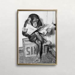chimpanzee reading newspaper, black and white art, vintage wall art, chimp reading paper, funny animal art, digital down