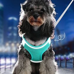Dog Cat Harness Vest Chest Rope Set Reflective Breathable Adjustable Pet Harness for Small Medium Dogs Outdoor Walking