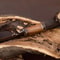 il_794xN.4471346165_7zsx.jpg