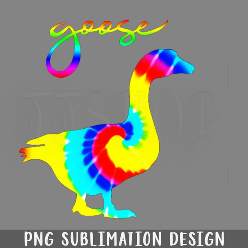 DMEE354-goose rainbow PNG Download.jpg