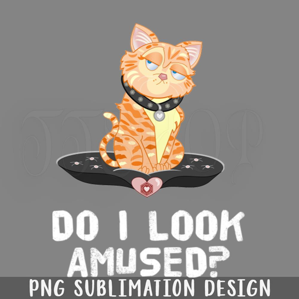 DMEE150-Funny Bad Mood Do I Look Amused Sarcastic Cat Saying PNG Download.jpg