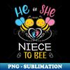 PI-20231104-9764_Gender Reveal He Or She Niece To Bee Matching Family Baby Party 8555.jpg
