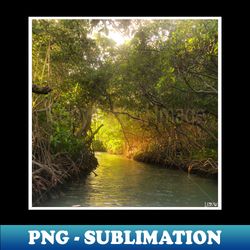 la perguera puerto rico mangrove wetland landscape photograph ecopop art - PNG Sublimation Digital Download - Perfect for Sublimation Art