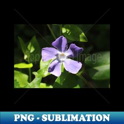 Periwinkle Flower Photograph - Premium PNG Sublimation File - Unleash Your Creativity