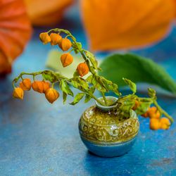 TUTORIAL Miniature physalis with air dry clay | Dollhouse miniatures | Miniature flower tutorial