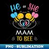BH-20231105-5669_Gender Reveal He Or She Mam To Bee Matching Family Baby Party 4327.jpg