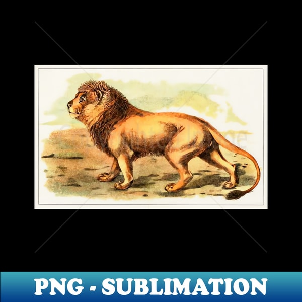 CM-20231105-9048_Lion Illustration 8931.jpg