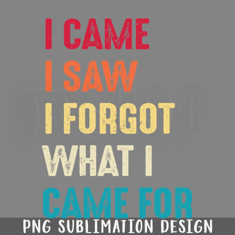 DMEE977-I Came I Saw I Forgot What I Came For PNG Download.jpg
