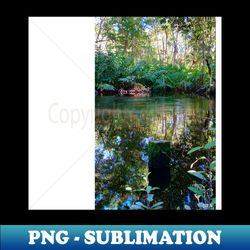 celestun ria wetland ecopark ecopop landscape photo in yucatan eye of the water green park - Signature Sublimation PNG File - Spice Up Your Sublimation Projects