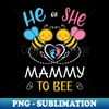 OV-20231106-8460_Gender Reveal He Or She Mammy To Bee Matching Family Baby Party 1882.jpg
